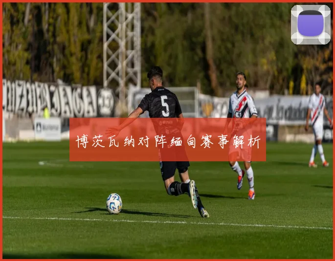 博茨瓦纳对阵缅甸赛事解析