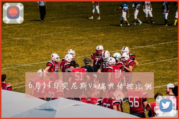 6月14日突尼斯vs瑞典传控比例