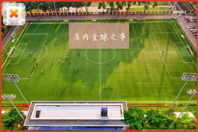 马内金球之争