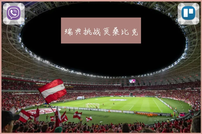 瑞典挑战莫桑比克