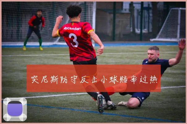 突尼斯防守反击小球赔率过热