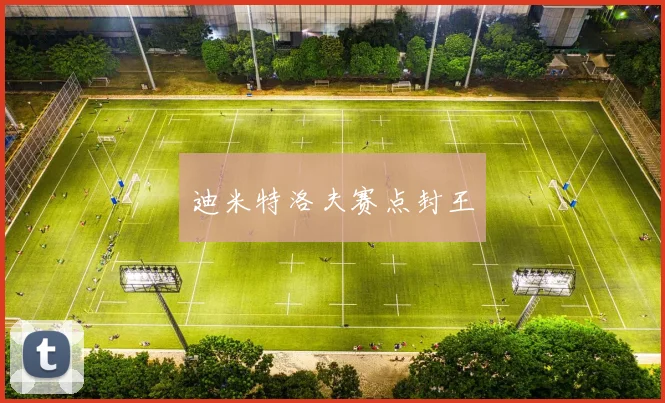 迪米特洛夫赛点封王