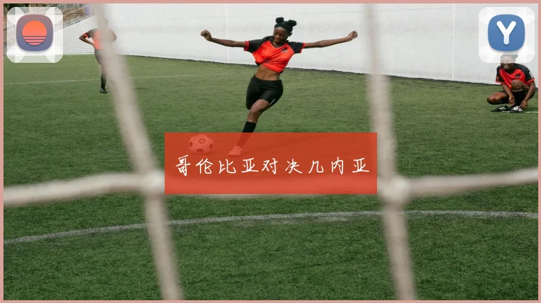 哥伦比亚对决几内亚