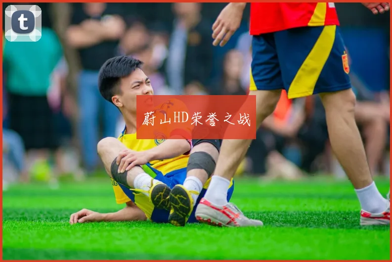 蔚山HD荣誉之战