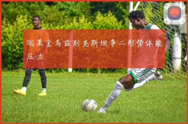 刚果金乌兹别克斯坦争二形势体能压力