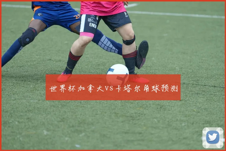 世界杯加拿大vs卡塔尔角球预测