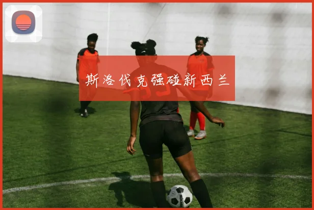 斯洛伐克强碰新西兰