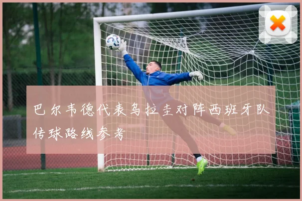 巴尔韦德代表乌拉圭对阵西班牙队传球路线参考