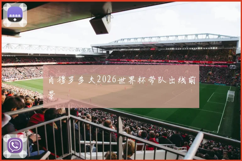肖穆罗多夫2026世界杯带队出线前景