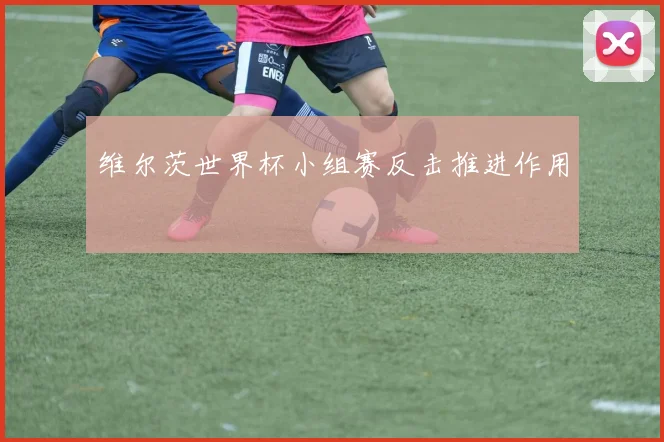 维尔茨世界杯小组赛反击推进作用