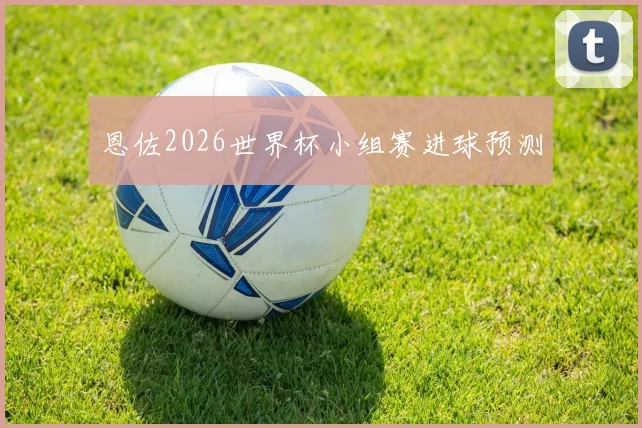 恩佐2026世界杯小组赛进球预测