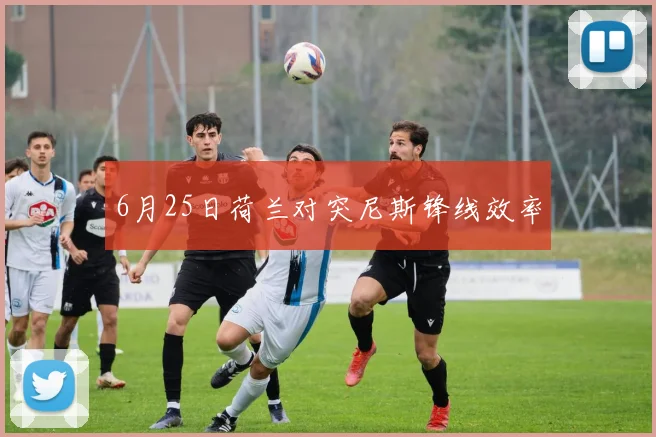 6月25日荷兰对突尼斯锋线效率