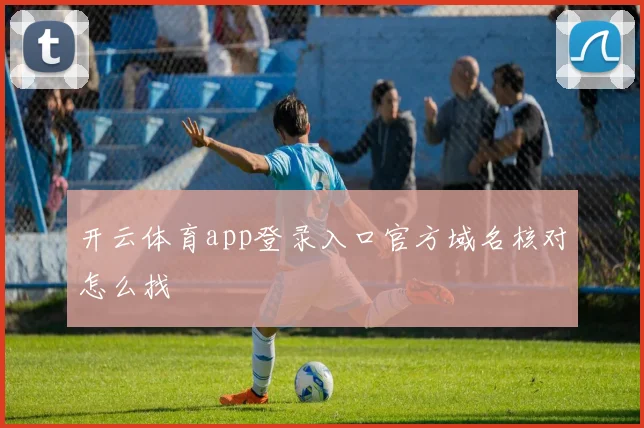 开云体育app登录入口官方域名核对怎么找