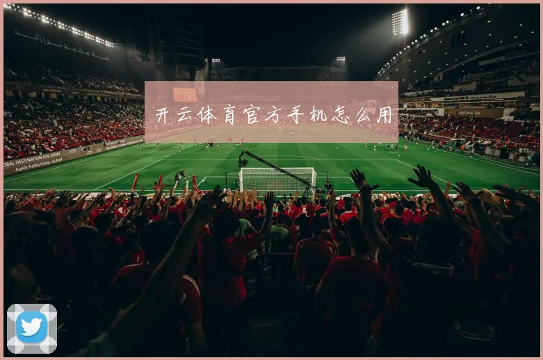 开云体育官方手机怎么用
